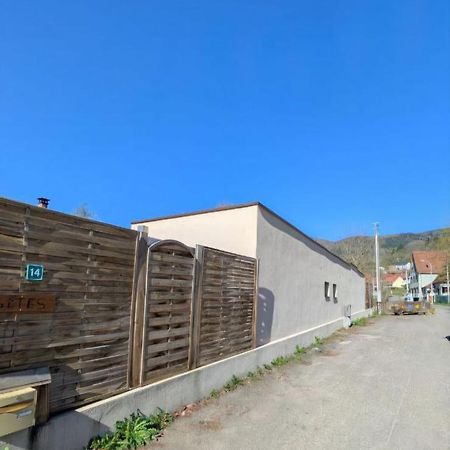 Ikigai Aparthotel Muhlbach-sur-Munster ภายนอก รูปภาพ